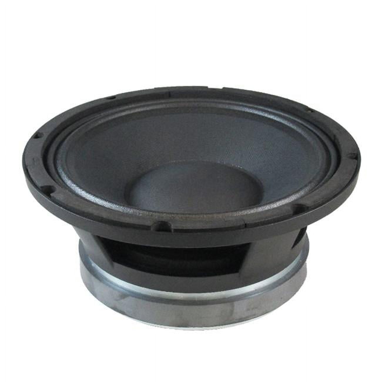 10 in. High Power Low Frequency Transducer